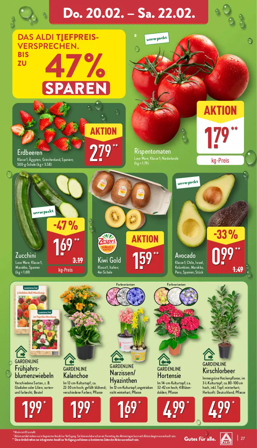 Aktueller Prospekt Aldi Nord - Von Montag - von 17.02 bis 22.02.2025 - strona 27 - produkty: aldi, avocado, beere, beeren, beutel, blume, blumen, Blüte, eis, erdbeere, erdbeeren, gin, Gladiolen, hortensie, Kalanchoe, kirsch, kiwi, Kiwi Gold, kulturtopf, Narzissen, pflanze, reis, Ria, rispentomaten, Schal, Schale, Ti, tomate, tomaten, topf, ZTE, zucchini, zwiebel, zwiebeln