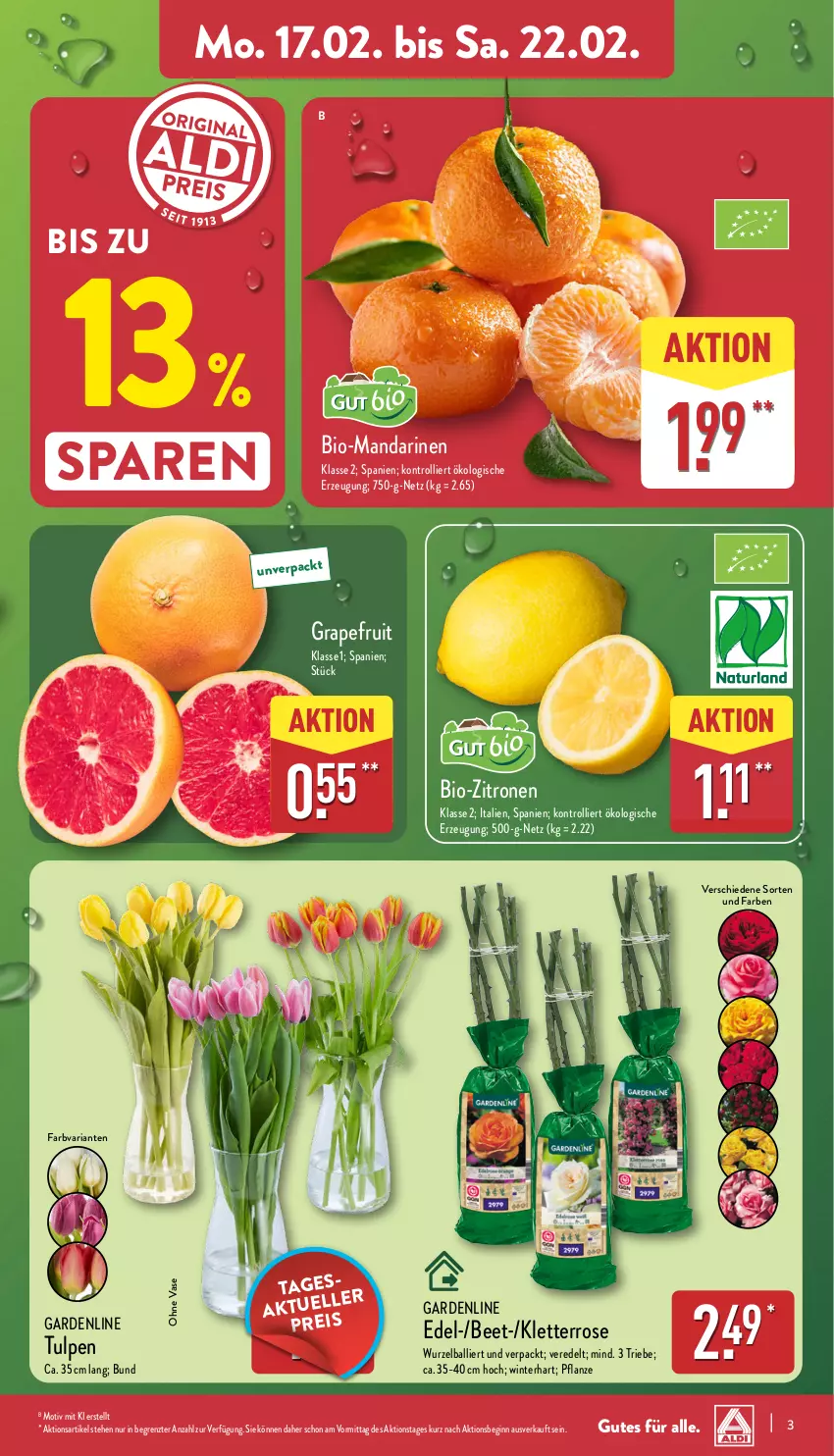 Aktueller Prospekt Aldi Nord - Von Montag - von 17.02 bis 22.02.2025 - strona 3 - produkty: ball, bio, bio-zitronen, gin, grapefruit, mandarine, mandarinen, pflanze, Ria, Ti, trolli, Vase, zitrone, zitronen, ZTE