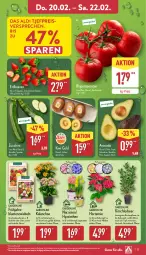 Gazetka promocyjna Aldi Nord - Von Montag - Gazetka - ważna od 22.02 do 22.02.2025 - strona 27 - produkty: aldi, avocado, beere, beeren, beutel, blume, blumen, Blüte, eis, erdbeere, erdbeeren, gin, Gladiolen, hortensie, Kalanchoe, kirsch, kiwi, Kiwi Gold, kulturtopf, Narzissen, pflanze, reis, Ria, rispentomaten, Schal, Schale, Ti, tomate, tomaten, topf, ZTE, zucchini, zwiebel, zwiebeln