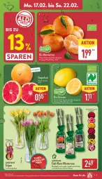 Gazetka promocyjna Aldi Nord - Von Montag - Gazetka - ważna od 22.02 do 22.02.2025 - strona 3 - produkty: ball, bio, bio-zitronen, gin, grapefruit, mandarine, mandarinen, pflanze, Ria, Ti, trolli, Vase, zitrone, zitronen, ZTE