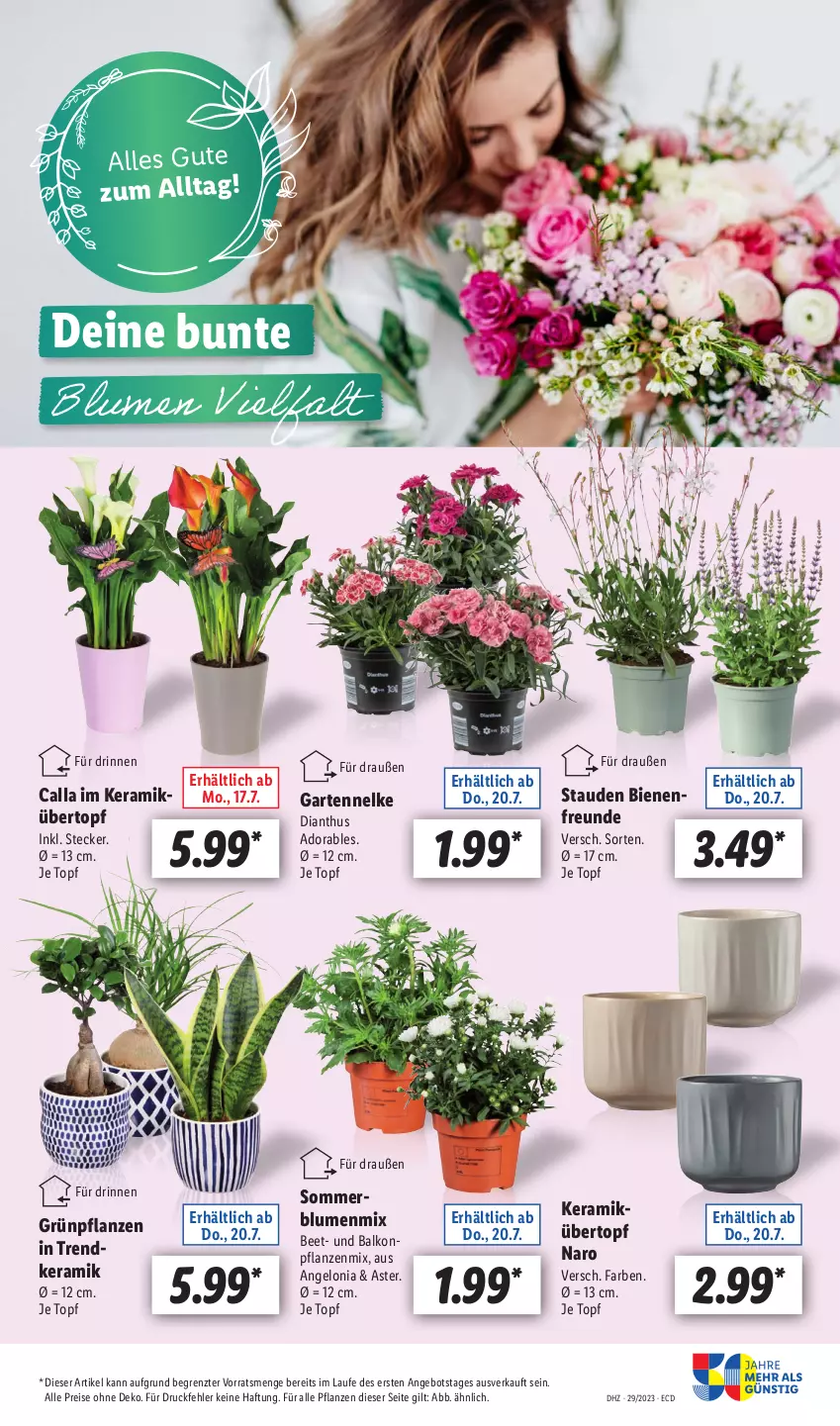 Aktueller Prospekt Lidl - Aktionsprospekt - von 17.07 bis 22.07.2023 - strona 55 - produkty: angebot, balkonpflanzen, blume, blumen, eis, Garten, gartennelke, Grünpflanzen, pflanze, pflanzen, reis, stauden, Ti, topf, übertopf, ZTE