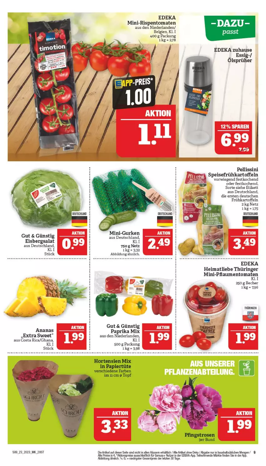 Aktueller Prospekt Marktkauf - Prospekt - von 04.06 bis 10.06.2023 - strona 9 - produkty: aktionspreis, ananas, Becher, deka, eis, eisbergsalat, essig, Frühkartoffeln, gurke, gurken, hortensie, hortensien, kartoffel, kartoffeln, LG, mini-gurken, mini-rispentomaten, nuss, papier, Papiertüte, paprika, paprika mix, pflaume, pflaumen, reis, ring, rispentomaten, salat, speisefrühkartoffeln, Ti, tomate, tomaten, topf, Tüte, ZTE