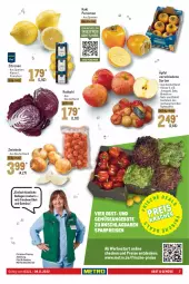 Gazetka promocyjna Metro - Food - Gazetka - ważna od 09.11 do 09.11.2022 - strona 7 - produkty: Abtei, angebot, angebote, decke, eis, elle, fisch, fische, Fischer, ilag, Kaki, Metro, metro gastro, obst, Obst und Gemüse, reis, rotkohl, sim, Ti, und gemüse, zitrone, zitronen, zwiebel, zwiebeln