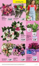 Gazetka promocyjna Lidl - Aktionsprospekt - Gazetka - ważna od 11.05 do 11.05.2024 - strona 5 - produkty: angebot, blume, blumen, Blumenstrauß, chrysanthemen, eis, HP, Kalanchoe, pflanze, pflanzen, reis, Ti, topf, ZTE