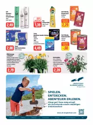 Gazetka promocyjna Feneberg - Prospekte - Gazetka - ważna od 24.06 do 24.06.2023 - strona 10 - produkty: beutel, Blüte, discount, eis, elle, Finish, flasche, Garten, gartennelke, geschirr, haarspray, Heu, LG, milch, nassfutter, oreo, papier, reiniger, reis, schaumfestiger, scheuermilch, Taft, Tasche, taschen, taschentücher, Tempo, Ti, topf, tücher, wasser