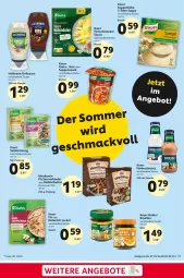 Gazetka promocyjna Selgros - Food - Gazetka - ważna od 03.05 do 03.05.2023 - strona 13 - produkty: angebot, angebote, Becher, beutel, Brühe, eis, elle, feinkost, feinschmecker, flasche, grill, grillsauce, hollandaise, knorr, knorr pasta, mehl, mondamin, pasta, reis, salat, salatkrönung, sauce, saucen, snack, suppe, suppen, suppenliebe, teller, Ti