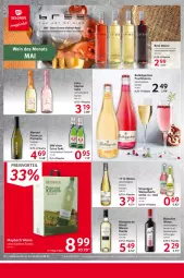 Gazetka promocyjna Selgros - Food - Gazetka - ważna od 03.05 do 03.05.2023 - strona 20 - produkty: bree, ecco, eier, eis, flasche, frizzante, frucht, fruchtsecco, mac, mango, mangos, maybach, nuss, preisvorteil, prosecco, rebsortenweine, reis, rotkäppchen, saft, schorle, sekt, Ti, wein, weine, weinschorle