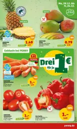 Gazetka promocyjna Penny - Prospekte - Gazetka - ważna od 25.12 do 25.12.2021 - strona 3 - produkty: ananas, paprika, Romatomaten, Schal, Schale, tomate, tomaten