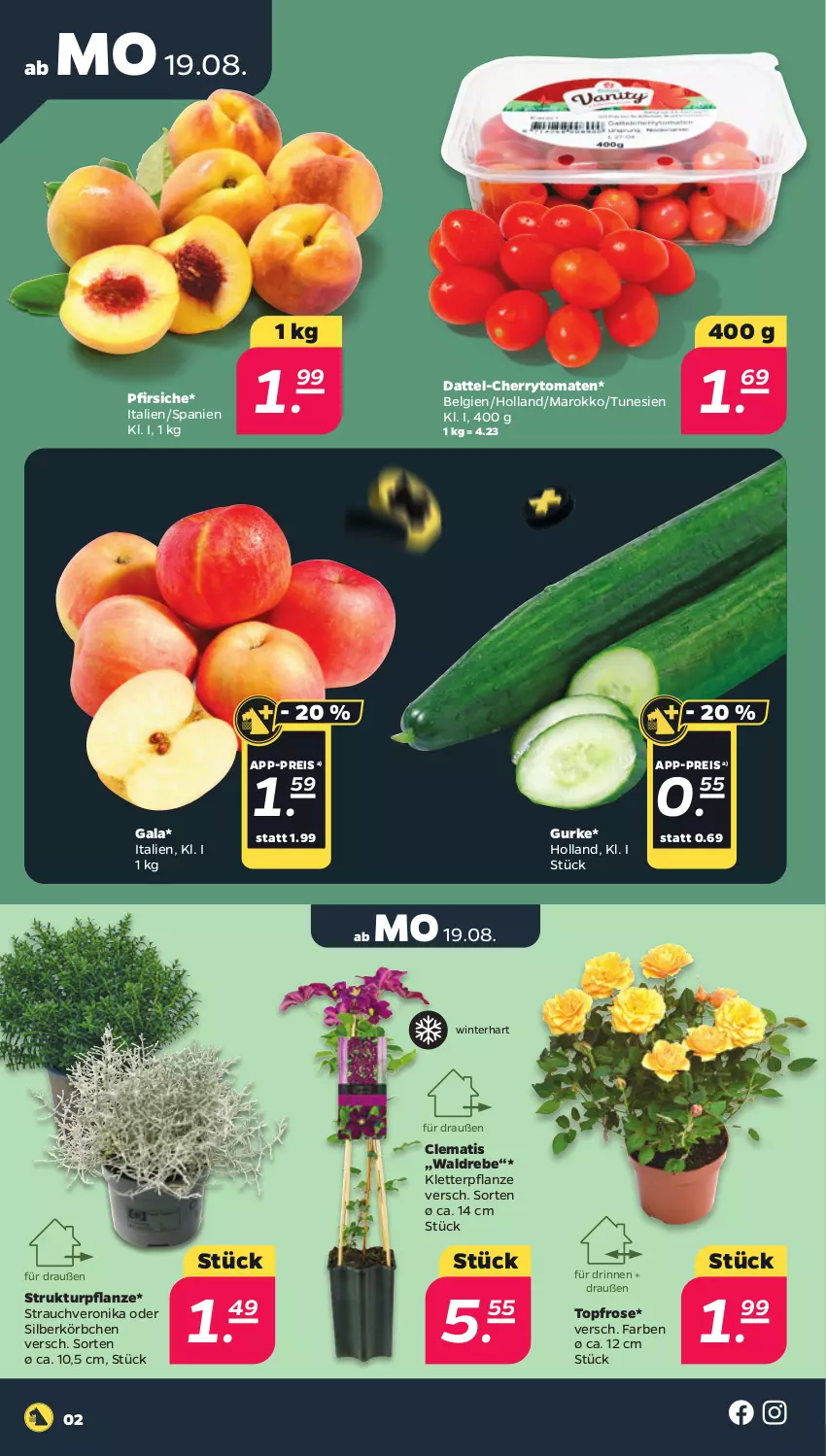 Aktueller Prospekt Netto - Woche 34 - von 19.08 bis 24.08.2024 - strona 2 - produkty: cherrytomaten, eis, gurke, Körbchen, LG, pfirsich, pfirsiche, pflanze, Rauch, reis, Ti, tomate, tomaten, topf