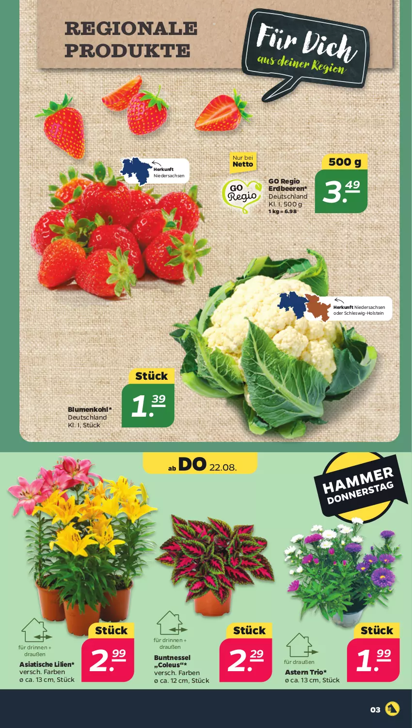 Aktueller Prospekt Netto - Woche 34 - von 19.08 bis 24.08.2024 - strona 3 - produkty: beere, beeren, blume, blumen, blumenkohl, erdbeere, erdbeeren, sac, Ti, tisch