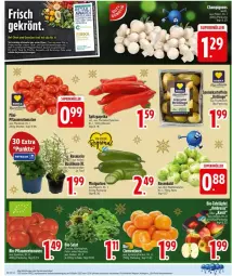 Gazetka promocyjna Edeka - Prospekte - Gazetka - ważna od 20.12 do 20.12.2025 - strona 4 - produkty: Becher, beutel, bio, blattspinat, champignon, champignons, cola, deka, eis, ente, kartoffel, kartoffeln, obst, Obst und Gemüse, paprika, paprika rot, pflaume, pflaumen, rosen, Rosenkohl, rosmarin, rucola, salat, speisekartoffeln, spinat, Spitzpaprika, tee, Ti, tomate, tomaten, topf, und gemüse, Yo