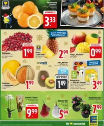 Gazetka promocyjna Edeka - Prospekte - Gazetka - ważna od 20.12 do 20.12.2025 - strona 5 - produkty: ananas, Ananasstücke, beere, deka, eis, elinas, erdbeere, honig, honigmelone, kiwi, mango, melone, navelina, obst, orchidee, Physalis, rama, reis, rum, salat, snack, tafeltrauben, Ti, topf, trauben