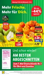 Gazetka promocyjna Lidl - Aktionsprospekt - Gazetka - ważna od 14.10 do 14.10.2023 - strona 4 - produkty: Abtei, alexa, angebot, Birnen, coupon, discount, eis, frucht, LG, magazin, mandarine, mandarinen, obst, Obst und Gemüse, pril, reis, schnitten, Ti, und gemüse