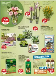 Gazetka promocyjna Vmarkt - Prospekte - Gazetka - ważna od 03.07 do 03.07.2024 - strona 20 - produkty: angebot, angebote, Bau, bio, blume, blumen, blumenerde, calibrachoa, dünger, eis, ente, erde, Garten, gurke, gurken, kräuter, LG, Mett, natur, obst, orchidee, orchideen, oreo, paprika, petunie, pflanze, pflanzen, phalaenopsis, pril, rasen, rasendünger, rasensamen, reis, rwe, salat, Schmetterling, schmetterlingsorchidee, Spezi, Sukkulente, Ti, tomate, tomaten, topf, übertopf, und gemüse, usb, vita, vitalis, zucchini