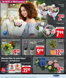 Gazetka promocyjna Edeka - Prospekte - Gazetka - ważna od 07.03 do 07.03.2026 - strona 16 - produkty: Brei, eis, phalaenopsis, Ti