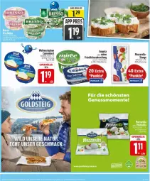 Gazetka promocyjna Edeka - Prospekte - Gazetka - ważna od 07.03 do 07.03.2026 - strona 7 - produkty: Becher, camembert, exquisa, frischkäse, frischkäsezubereitung, Käse, mozzarella, payback, rel, tee, Ti, weihenstephan