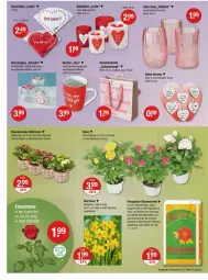 Gazetka promocyjna Vmarkt - Prospekte - Gazetka - ważna od 14.02 do 14.02.2024 - strona 16 - produkty: angebot, angebote, Becher, blume, blumen, blumenerde, bonbons, eis, ente, erde, Holz, Kalanchoe, lack, lamm, LG, papier, pflanze, pflanzen, reis, reiss, rezept, Serviette, servietten, spülmaschinen, Ti, topf, Tüte, übertopf, Vase, windlicht, Yo