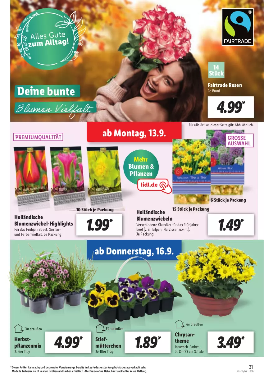 Aktueller Prospekt Lidl - Aktionsprospekt - von 13.09 bis 18.09.2021 - strona 31