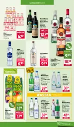 Gazetka promocyjna Wasgau - Gazetka - ważna od 24.01 do 24.01.2026 - strona 17 - produkty: Alwa, bacardi, bacardi rum, eis, elle, Fernet, fernet branca, flasche, getränk, getränke, Gorbatschow, Happy Day, hochwald, lillet, mineralwasser, mw-flasche, natur, ouzo, Rauch, reis, rel, rezept, rum, säfte, Sprudel, Ti, wasser, wodka, wolle
