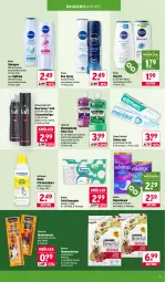 Gazetka promocyjna Wasgau - Gazetka - ważna od 24.01 do 24.01.2026 - strona 19 - produkty: Alwa, Always, creme, deo, deo spray, dusche, eis, elmex, flasche, gin, haarspray, heitmann, hundenahrung, hundesnack, hundesnacks, je 500-ml-flasche, Kamill, kamille, kraft, lack, listerine, meridol, mundspülung, nivea, oder schaumfestiger, papier, reis, schaumfestiger, schwarzkop, schwarzkopf, shampoo, slip, slipeinlagen, snack, snacks, spülung, Taft, Ti, toilettenpapier, total care, vita, vitakraft, zahncreme