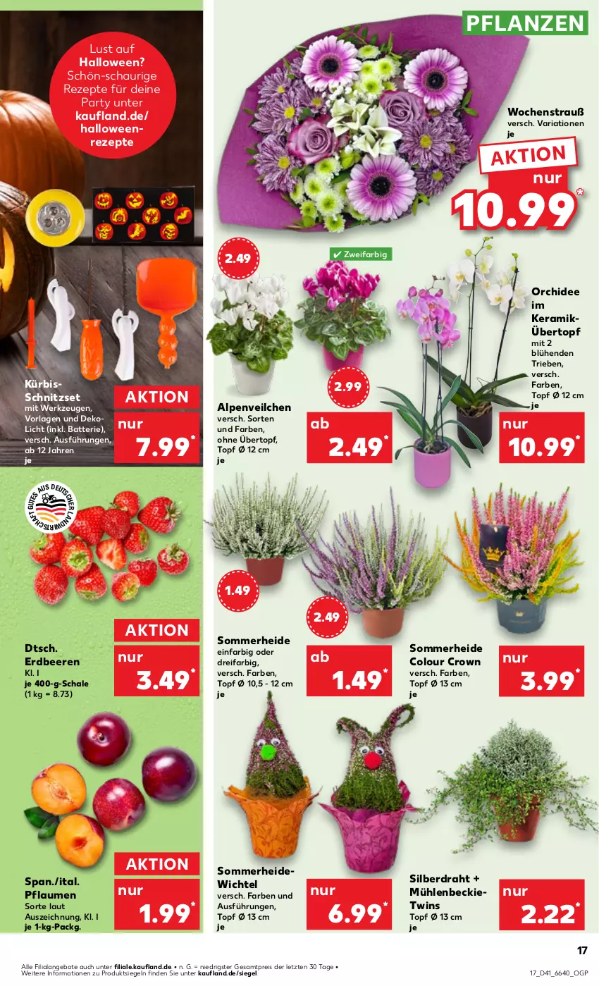 Aktueller Prospekt Kaufland - Prospekt - von 10.10 bis 16.10.2024 - strona 17 - produkty: Alpenveilchen, angebot, angebote, batterie, beere, beeren, Draht, eis, erdbeere, erdbeeren, Kürbis, orchidee, pflanze, pflanzen, pflaume, pflaumen, reis, rezept, rezepte, Ria, Schal, Schale, Ti, topf, topf ø 12 cm, übertopf, werkzeug, werkzeuge, Wichtel, ZTE