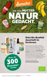 Gazetka promocyjna Kaufland - Prospekt - Gazetka - ważna od 16.10 do 16.10.2024 - strona 45 - produkty: angebot, angebote, auer, Bau, bio, elle, mac, natur, Ti, usb