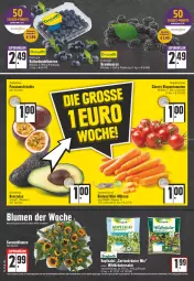 Gazetka promocyjna Edeka - Angebote der Woche - Gazetka - ważna od 16.07 do 16.07.2022 - strona 4 - produkty: angebot, angebote, beutel, blume, blumen, Garten, kopfsalat, kräuter, LG, rosen, salat, sonnenblume, sonnenblumen, tee, Ti