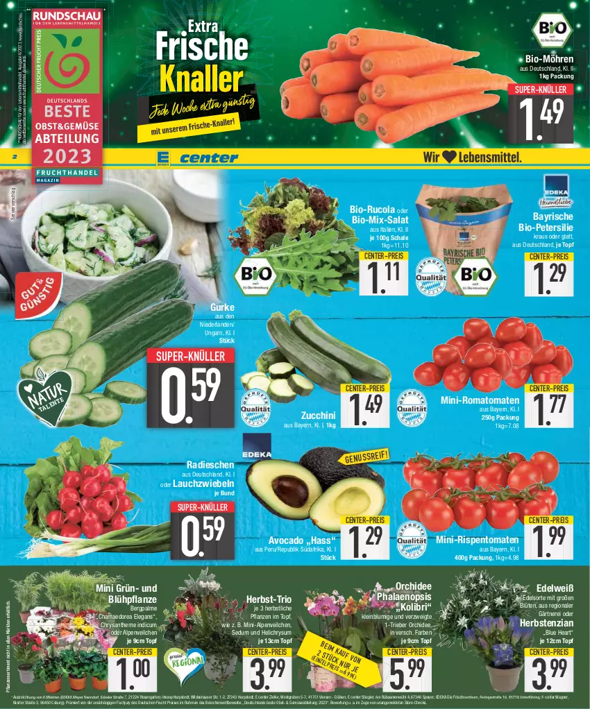 Aktueller Prospekt E Center - Angebote der Woche - von 28.08 bis 02.09.2023 - strona 2 - produkty: Abtei, Alpenveilchen, Astra, avocado, bio, Blüte, cola, deka, eis, ente, frucht, Garten, gurke, hama, HP, Lauchzwiebel, lauchzwiebeln, lebensmittel, mini-rispentomaten, möhren, nuss, obst, orchidee, petersilie, pflanze, pflanzen, phalaenopsis, radieschen, reis, ring, rispentomaten, Romatomaten, rosen, rucola, salat, Schal, Schale, speyer, Stiegl, super-knüller, Ti, tomate, tomaten, topf, wagner, Wild, zucchini, zwiebel, zwiebeln