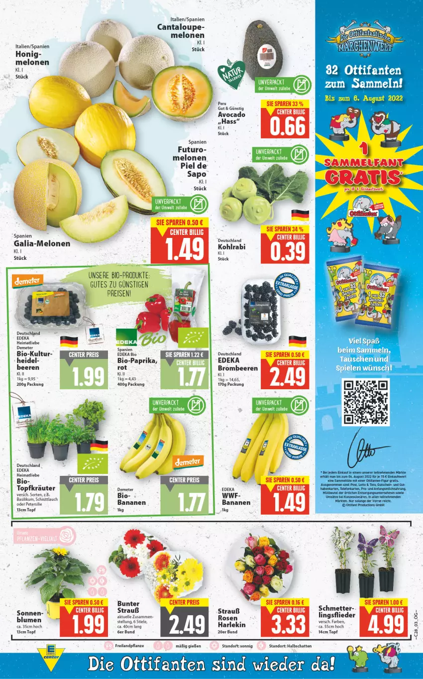 Aktueller Prospekt E Center - Angebote der Woche - von 11.07 bis 16.07.2022 - strona 3 - produkty: avocado, banane, bananen, basilikum, beere, beeren, beutel, bio, Bio-Paprika, blume, blumen, brombeere, brombeeren, deka, edeka bio, eis, elle, ente, flieder, Galia-melone, gutschein, honig, kohlrabi, kräuter, melone, melonen, Mett, milch, müllbeutel, paprika, petersilie, pflanze, reis, rosen, schnittlauch, Spiele, tee, telefon, Ti, topf, Topfkräuter, Tüte