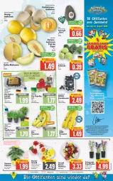 Gazetka promocyjna E Center - Angebote der Woche - Gazetka - ważna od 16.07 do 16.07.2022 - strona 3 - produkty: avocado, banane, bananen, basilikum, beere, beeren, beutel, bio, Bio-Paprika, blume, blumen, brombeere, brombeeren, deka, edeka bio, eis, elle, ente, flieder, Galia-melone, gutschein, honig, kohlrabi, kräuter, melone, melonen, Mett, milch, müllbeutel, paprika, petersilie, pflanze, reis, rosen, schnittlauch, Spiele, tee, telefon, Ti, topf, Topfkräuter, Tüte