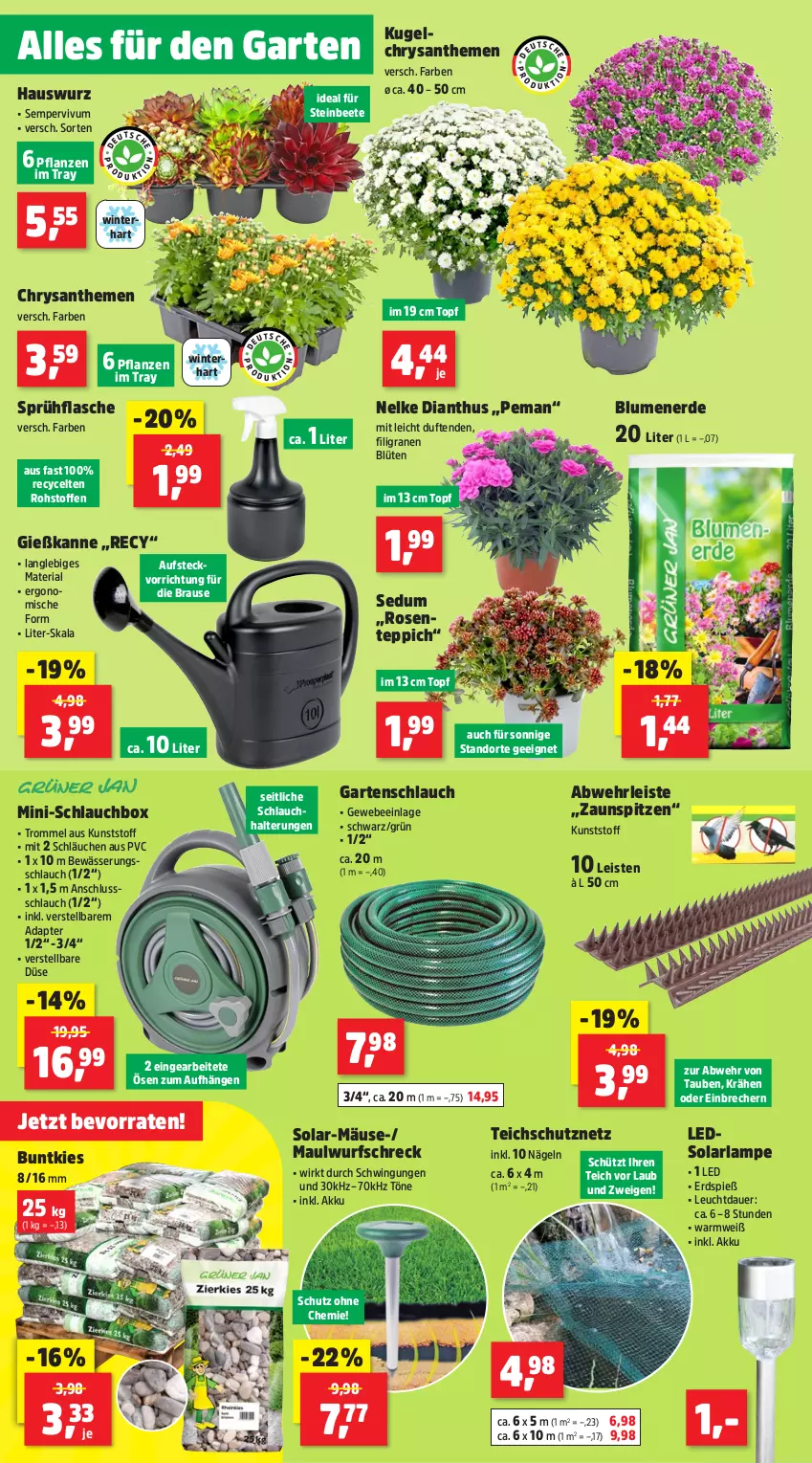 Aktueller Prospekt Thomas Philipps - von 22.07 bis 27.07.2024 - strona 2 - produkty: adapter, akku, arla, auer, blume, blumen, blumenerde, Blüte, brause, chrysanthemen, eis, ente, erde, flasche, Garten, gartenschlauch, Gießkanne, Hauswurz, Kugel, Lampe, leds, pflanze, pflanzen, Ria, rosen, schlauch, schläuche, Schutznetz, Sempervivum, solarlampe, sprühflasche, teppich, topf, trommel