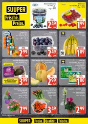 Gazetka promocyjna Edeka - Prospekte - Gazetka - ważna od 17.10 do 17.10.2026 - strona 6 - produkty: avocado, avocados, beere, beeren, heidelbeere, heidelbeeren, himbeer, himbeere, himbeeren, nuss, Ti