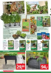 Gazetka promocyjna Bauhaus - Prospekte - Gazetka - ważna od 30.03 do 30.03.2024 - strona 2 - produkty: abdeckhaube, basilikum, Bau, bio, ente, erde, Garten, gurke, gurken, Holz, HP, kohlrabi, kopfsalat, Kraut, kräuter, natur, petersilie, Rauch, rind, salat, Schal, Schale, schnittlauch, tablet, tablett, tee, Ti, tomate, tomaten, topf, zitrone, zitronen