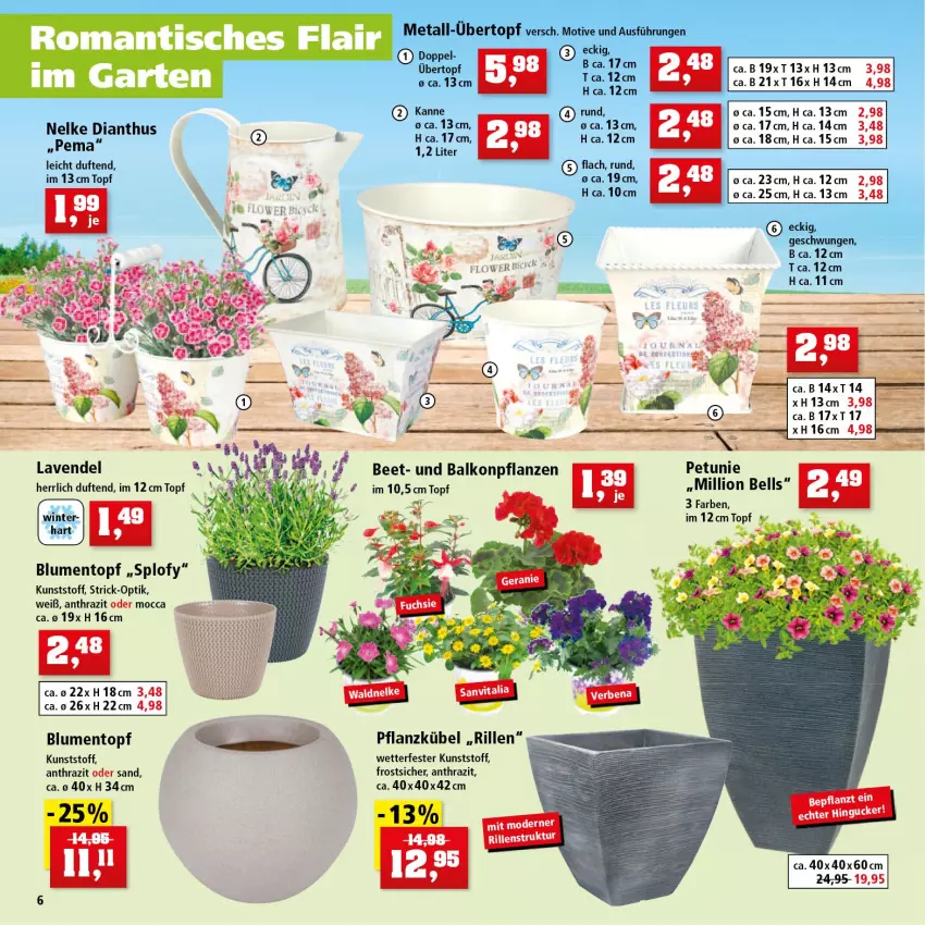 Aktueller Prospekt Thomas Philipps - Prospektwerbung - von 30.05 bis 04.06.2022 - strona 6 - produkty: balkonpflanzen, blume, blumen, eier, lavendel, lion, petunie, pflanze, pflanzen, Ti, topf, übertopf, Yo