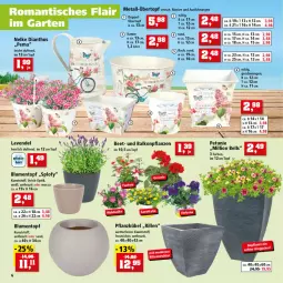 Gazetka promocyjna Thomas Philipps - Prospektwerbung - Gazetka - ważna od 04.06 do 04.06.2022 - strona 6 - produkty: balkonpflanzen, blume, blumen, eier, lavendel, lion, petunie, pflanze, pflanzen, Ti, topf, übertopf, Yo