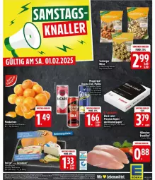 Gazetka promocyjna Edeka - Prospekte - Gazetka - ważna od 01.02 do 01.02.2025 - strona 30 - produkty: Berger, beutel, black label, brustfilet, drucker, ente, filet, fol epi, Havana Club, lack, Malibu, mandarine, mandarinen, papier, seeberger, Ti