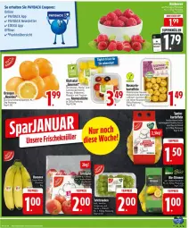 Gazetka promocyjna Edeka - Prospekte - Gazetka - ważna od 01.02 do 01.02.2025 - strona 6 - produkty: ananas, Ananasstücke, beere, beeren, beutel, coupon, coupons, deka, erdbeere, erdbeeren, honig, kartoffel, kartoffeln, mango, melone, nuss, obst, payback, rosmarin, salat, Ti