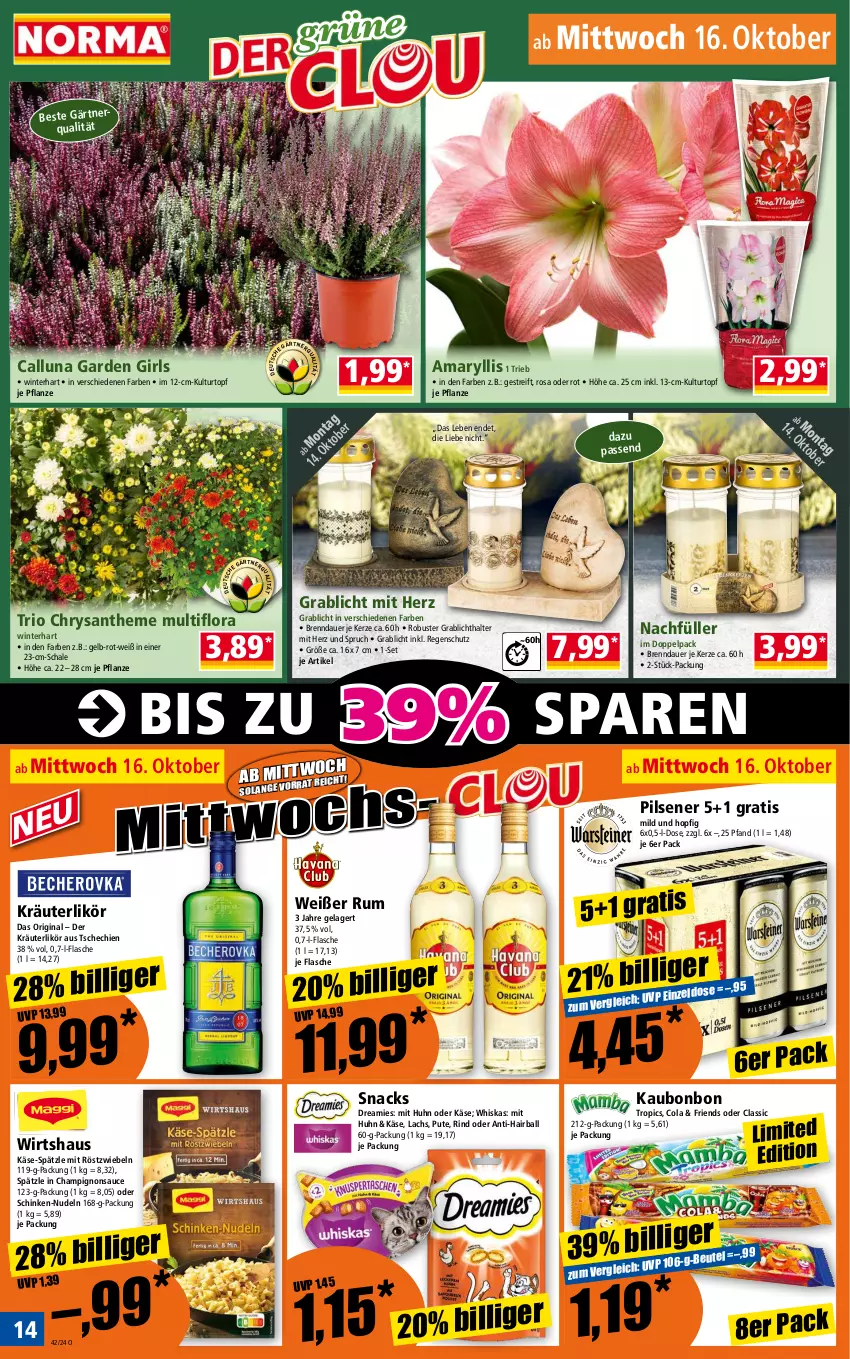 Aktueller Prospekt Norma - Norma - von 14.10 bis 21.10.2024 - strona 14 - produkty: auer, ball, beutel, champignon, champignons, cola, dreamies, flasche, gin, Käse, kerze, kräuter, kräuterlikör, kulturtopf, lachs, likör, mit röstzwiebeln, nudel, nudeln, pflanze, pils, pilsener, pute, Regenschutz, rind, röstzwiebeln, rum, sauce, Schal, Schale, schinken, snack, snacks, Ti, topf, whiskas, zwiebel, zwiebeln