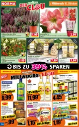 Gazetka promocyjna Norma - Norma - Gazetka - ważna od 21.10 do 21.10.2024 - strona 14 - produkty: auer, ball, beutel, champignon, champignons, cola, dreamies, flasche, gin, Käse, kerze, kräuter, kräuterlikör, kulturtopf, lachs, likör, mit röstzwiebeln, nudel, nudeln, pflanze, pils, pilsener, pute, Regenschutz, rind, röstzwiebeln, rum, sauce, Schal, Schale, schinken, snack, snacks, Ti, topf, whiskas, zwiebel, zwiebeln