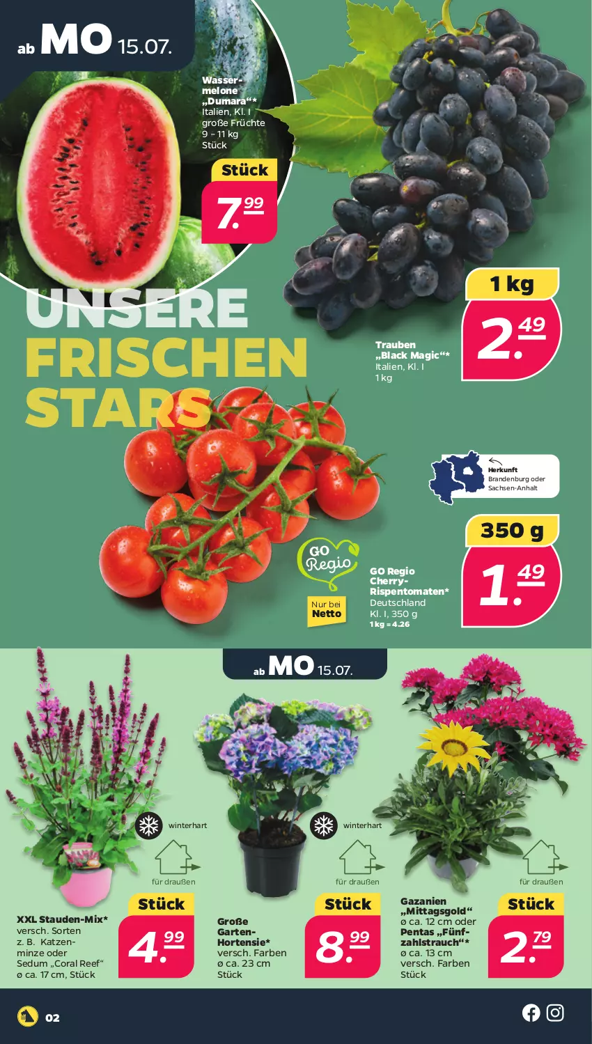 Aktueller Prospekt Netto - Woche 29 - von 15.07 bis 20.07.2024 - strona 2 - produkty: Coral, früchte, Garten, hortensie, lack, melone, minze, Rauch, rispentomaten, sac, stauden, tomate, tomaten, trauben, wasser, wassermelone