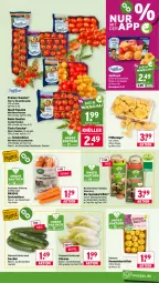 Gazetka promocyjna Wasgau - Gazetka - ważna od 08.08 do 08.08.2026 - strona 9 - produkty: aprikose, aprikosen, Bau, beutel, bio, cocktail, eimer, eis, kartoffel, kartoffeln, möhren, Pfifferlinge, pralinen, Rauch, reis, rosmarin, Rubin, Schal, Schale, speisekartoffeln, speisemöhren, strauchtomaten, tomate, tomaten, Tüte, zucchini