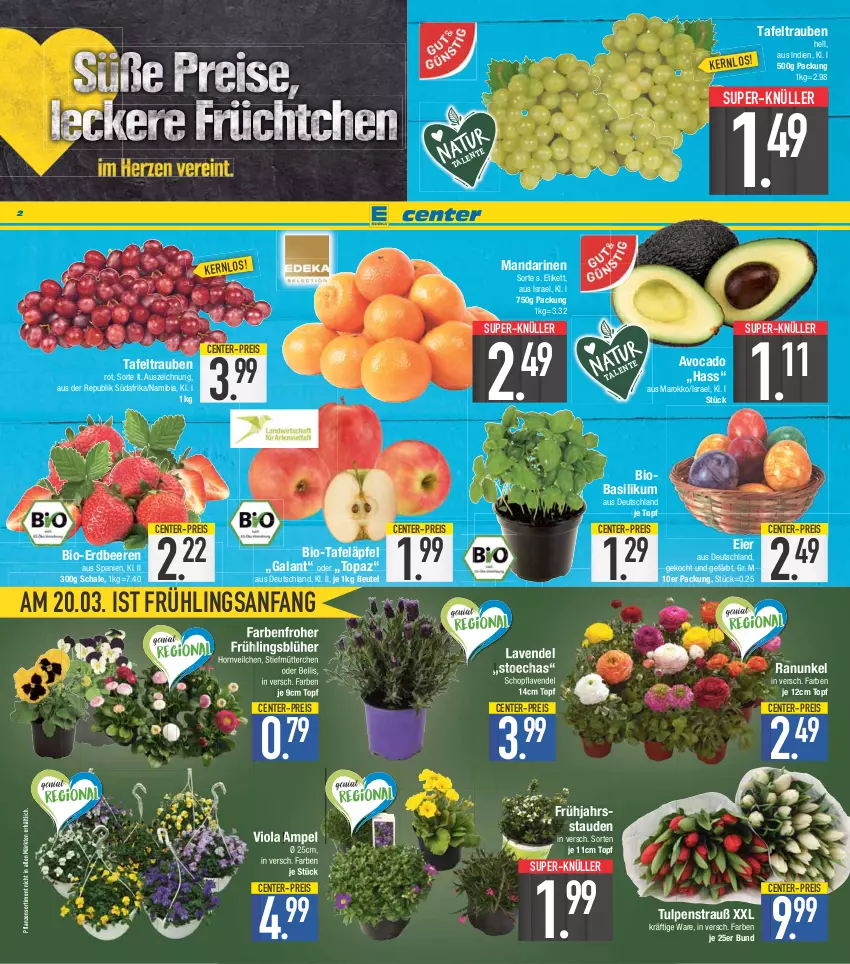 Aktueller Prospekt E Center - Angebote der Woche - von 20.03 bis 25.03.2023 - strona 2 - produkty: avocado, basilikum, beere, beeren, beutel, bio, eier, eis, ente, erdbeere, erdbeeren, lavendel, mandarine, mandarinen, pflanze, pflanzen, reis, Schal, Schale, stauden, super-knüller, tafeläpfel, tafeltrauben, Ti, topf, trauben