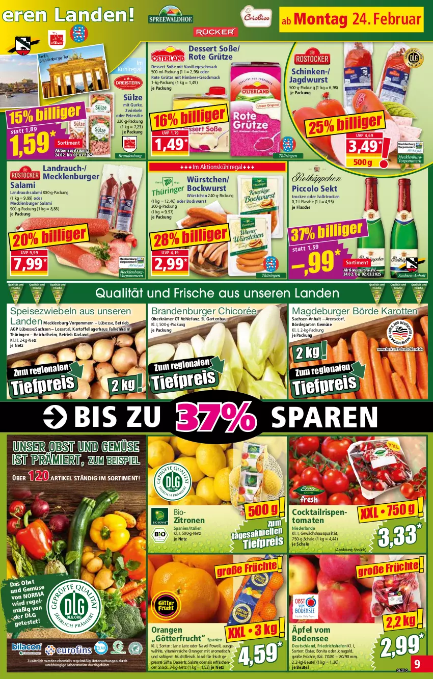 Aktueller Prospekt Norma - Norma - von 24.02 bis 03.03.2025 - strona 9 - produkty: arla, Bau, beutel, bio, bockwurst, bonita, burger, cocktail, dessert, desserts, eis, erde, flasche, fleisch, frucht, früchte, fruchtfleisch, Garten, Gewächshaus, grütze, gurke, himbeer, jagdwurst, karotten, kartoffel, kühlregal, LG, mac, mecklenburger salami, obst, Obst und Gemüse, orange, orangen, petersilie, Rauch, regal, reis, ring, rispentomaten, Rote Grütze, sac, saft, säfte, salami, salat, salate, Schal, Schale, schinken, sekt, snack, Soße, Speisezwiebeln, Ti, tiefpreis, tisch, tomate, tomaten, und gemüse, vanille, vita, wurst, würstchen, zitrone, zitronen, zwiebel, zwiebeln