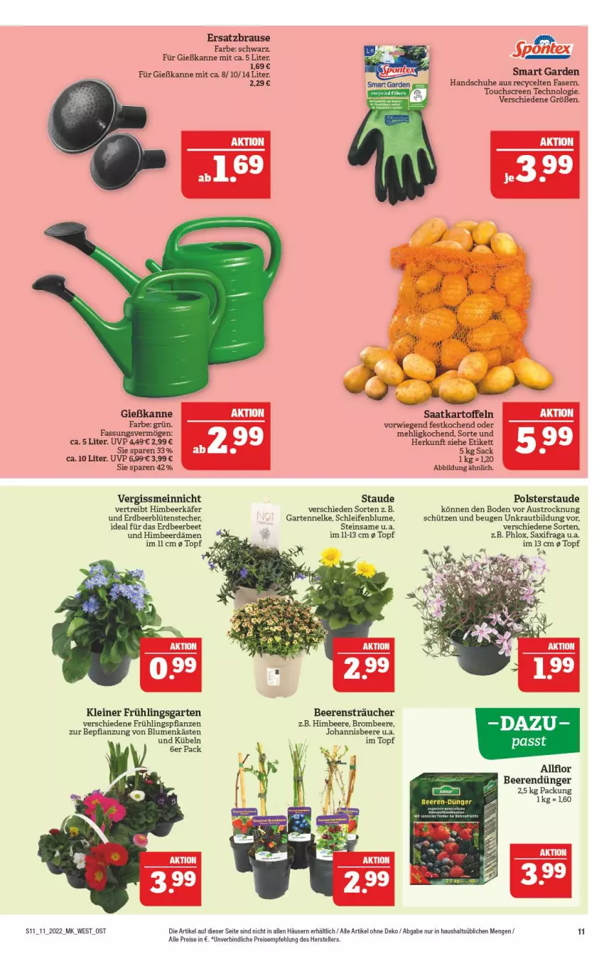 Aktueller Prospekt Marktkauf - Prospekt - von 13.03 bis 19.03.2022 - strona 11 - produkty: aust, beere, beeren, blume, blumen, Blüte, brause, brombeere, dünger, eis, elle, Garten, gartennelke, Gießkanne, handschuhe, himbeer, himbeere, johannisbeere, käfer, kartoffel, kartoffeln, Kraut, leine, mehl, pflanze, pflanzen, reis, sac, schuhe, Schütze, teller, Ti, topf, touchscreen