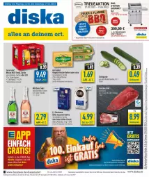 Gazetka promocyjna Diska - Prospekte - Gazetka - ważna od 17.06 do 17.06.2023 - strona 1 - produkty: aktionspreis, angebot, angebote, Becher, butter, coca-cola, cola, darbo, darboven, deka, eilles gourmet, eis, elle, Falsches Filet, fanta, filet, flasche, gin, gurke, gutschein, irische butter, kaffee, kerrygold, lamm, limo, limonade, Mezzo Mix, mm extra, nuss, reis, salat, Salatgurke, sekt, sprite, tee, Ti, ZTE