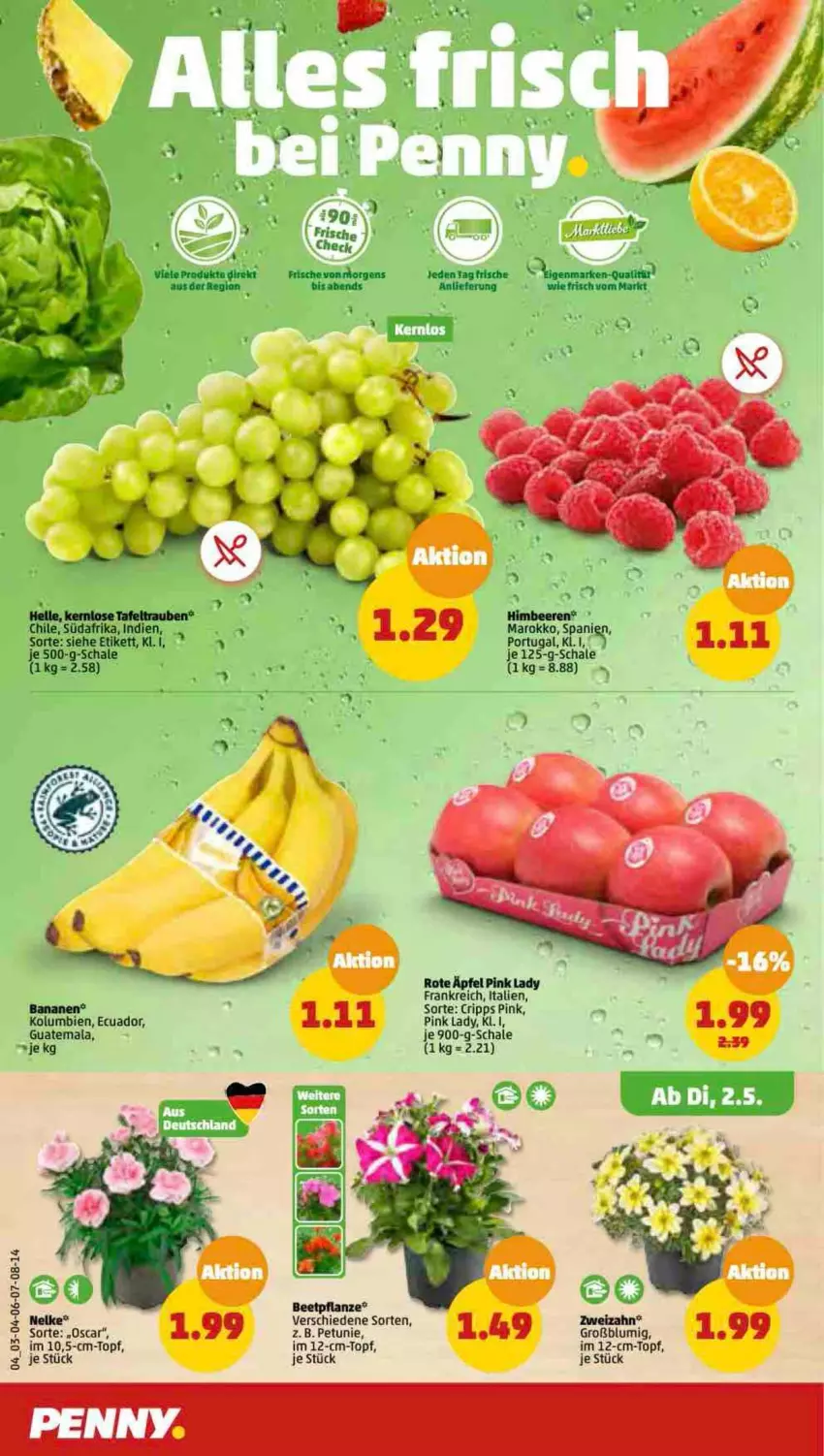 Aktueller Prospekt Penny - Prospekte - von 01.05 bis 06.05.2023 - strona 4 - produkty: beere, beeren, elle, himbeer, himbeere, himbeeren, petunie, Pink Lady, Schal, Schale, tafeltrauben, Ti, topf, trauben, tuc