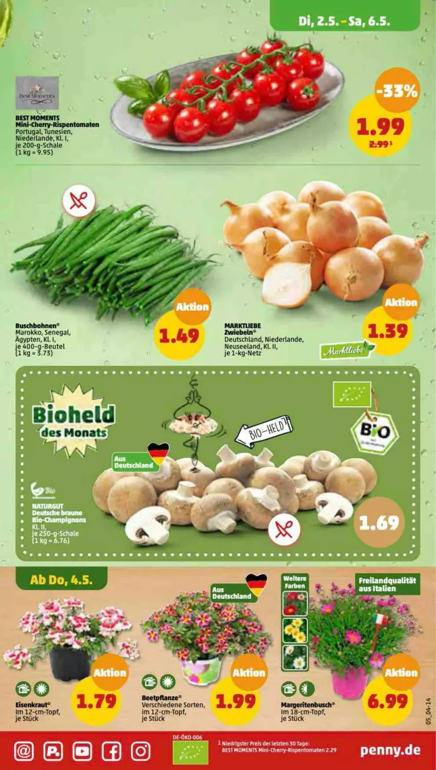 Aktueller Prospekt Penny - Prospekte - von 01.05 bis 06.05.2023 - strona 5 - produkty: beutel, bio, bohne, bohnen, Buschbohnen, eis, Elan, reis, Schal, Schale, topf, ZTE, zwiebel, zwiebeln