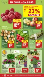 Gazetka promocyjna Aldi Nord - Von Montag - Gazetka - ważna od 03.05 do 03.05.2025 - strona 26 - produkty: aldi, beere, beeren, braun, champignon, champignons, champignons braun, eis, geranie, gin, himbeer, himbeere, himbeeren, kulturtopf, petunie, petunien, pflanze, pflanzen, radieschen, reis, Ria, Schal, Schale, tafeläpfel, Ti, topf, trolli, ZTE, zucchini