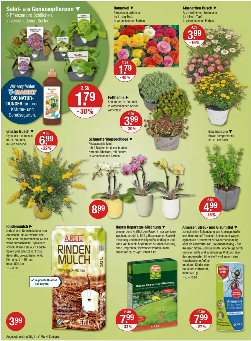 Aktueller Prospekt Vmarkt - Prospekte - von 28.03 bis 03.04.2024 - strona 24 - produkty: angebot, angebote, aust, Bau, buch, decke, dünger, eis, elle, erde, Garten, gin, Holz, Kinder, Kraut, kräuter, leine, LG, Mett, orchidee, pflanze, pflanzen, phalaenopsis, rasen, rasendünger, rasensamen, rind, rindenmulch, rwe, salat, Schmetterling, schmetterlingsorchidee, Spezi, Stier, Ti, Tiere, topf, übertopf, und gemüse, usb, ZTE