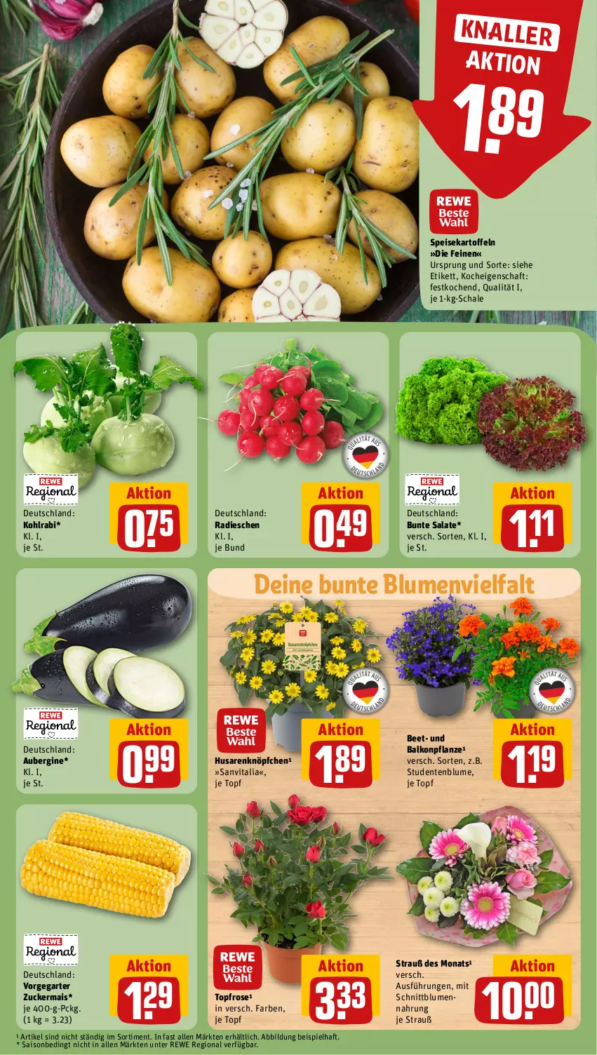 Aktueller Prospekt Rewe - Prospekte - von 13.05 bis 18.05.2024 - strona 11 - produkty: aubergine, blume, blumen, bunte salate, eis, ente, gin, kartoffel, kartoffeln, kohlrabi, mais, pflanze, radieschen, salat, salate, Schal, Schale, speisekartoffeln, Ti, topf, vita, zucker, zuckermais